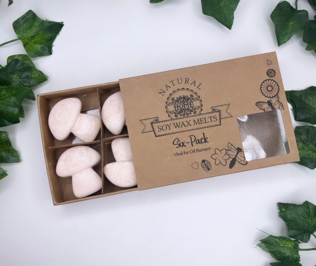 Wax melts Vaniglia e Noce moscata